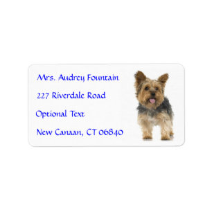 Yorkshire Terrier Puppy Namn Adress e-postmeddelan Adressetikett