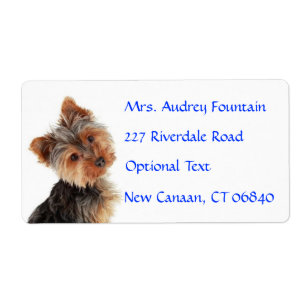 Yorkshire Terrier Puppy Namn Adress e-postmeddelan Fraktsedel
