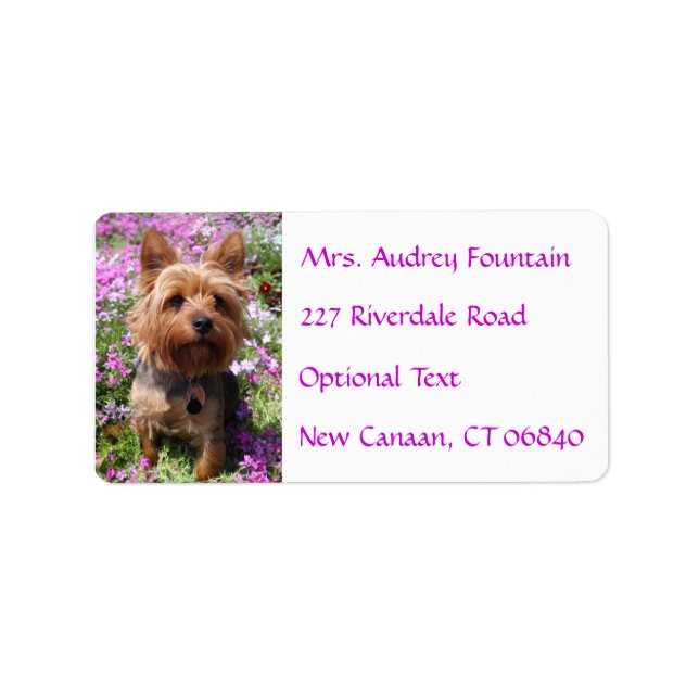 Yorkshire Terrier Puppy Namn Adress-segeletikett Adressetikett (Framsidan)