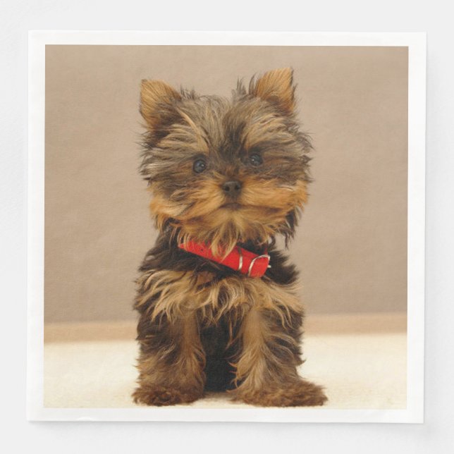 Yorkshire Terrier Puppy Pappersservett (Framsida)