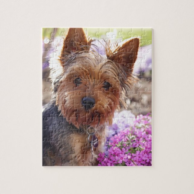 Yorkshire Terrier Pussel (Vertikal)