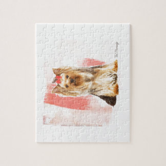 Yorkshire Terrier Pussel