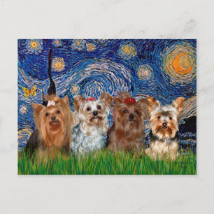 Yorkshire Terrier Quad - Starry Night Vykort