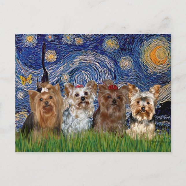 Yorkshire Terrier Quad - Starry Night Vykort (Framsida)