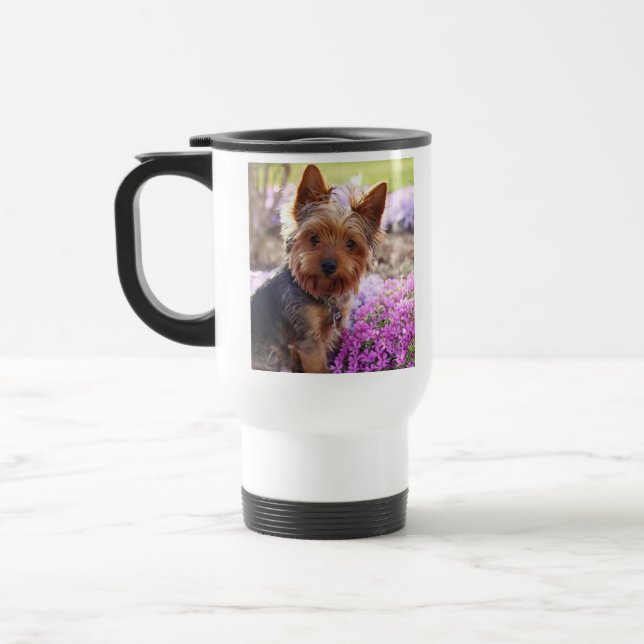 Yorkshire Terrier Resemugg (Vänster)