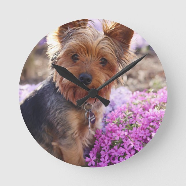 Yorkshire Terrier Rund Klocka (Framsida)