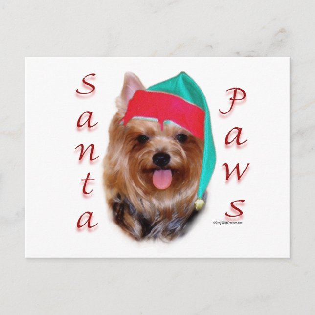 Yorkshire Terrier Santa Tassar Helg Vykort (Framsida)