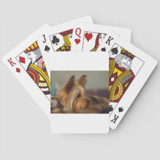 Yorkshire Terrier Spel Kort