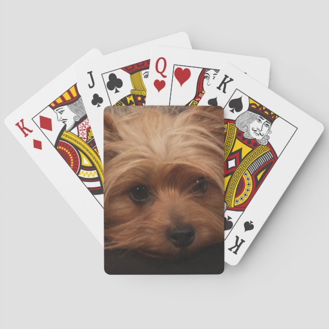 Yorkshire Terrier Spelkort (Baksidan)