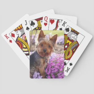 Yorkshire Terrier Spelkort