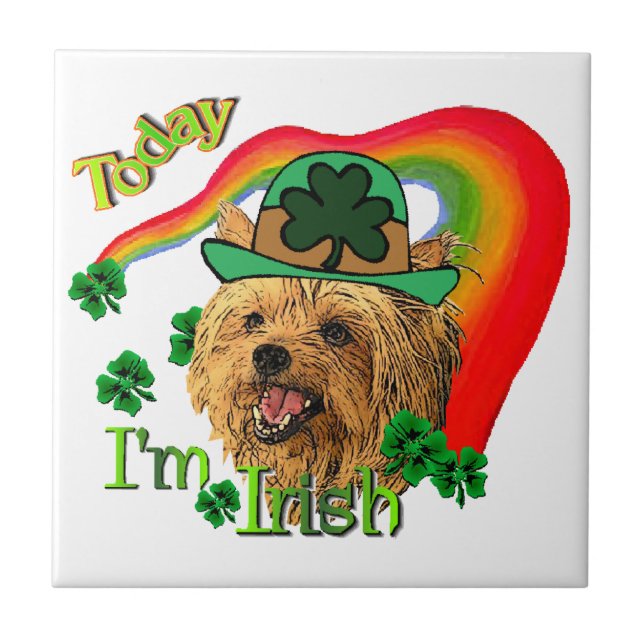Yorkshire Terrier St Patricks Kakelplatta (Framsidan)