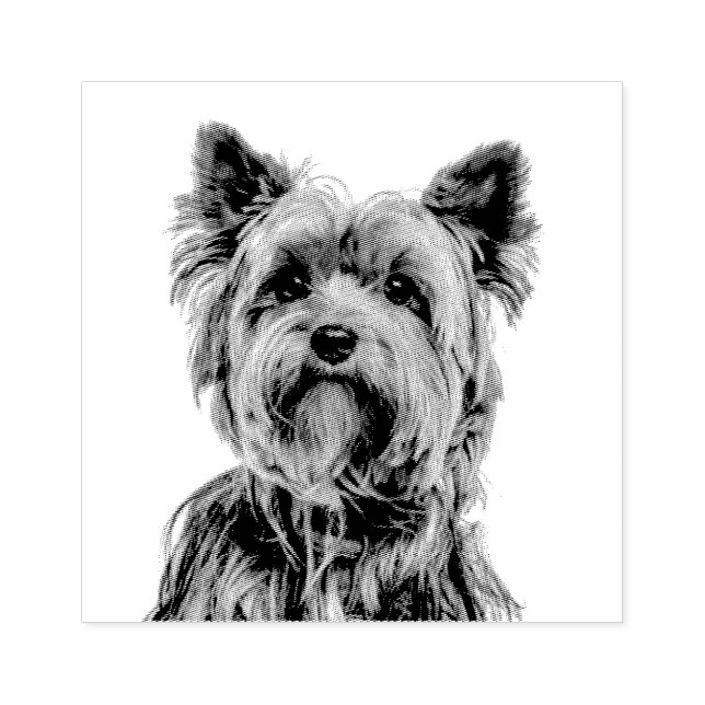 Yorkshire Terrier Stämpel (Tryck)