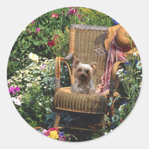 Yorkshire Terrier Sticker Garden Runt Klistermärke