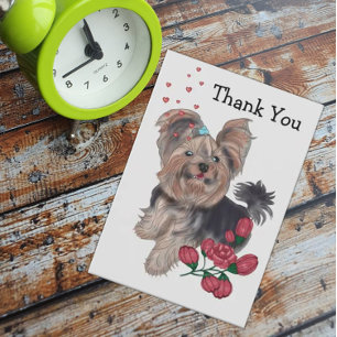 Yorkshire Terrier Tack Kort