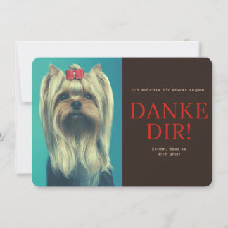 Yorkshire Terrier Tack Kort