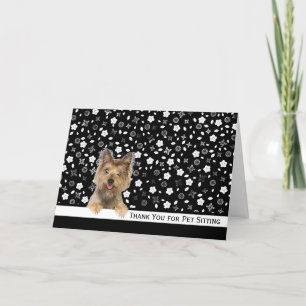 Yorkshire Terrier Tack Pet Sitta Kort