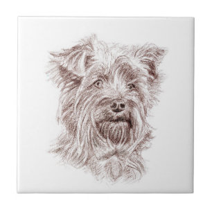 Yorkshire Terrier Teckning Kakelplatta