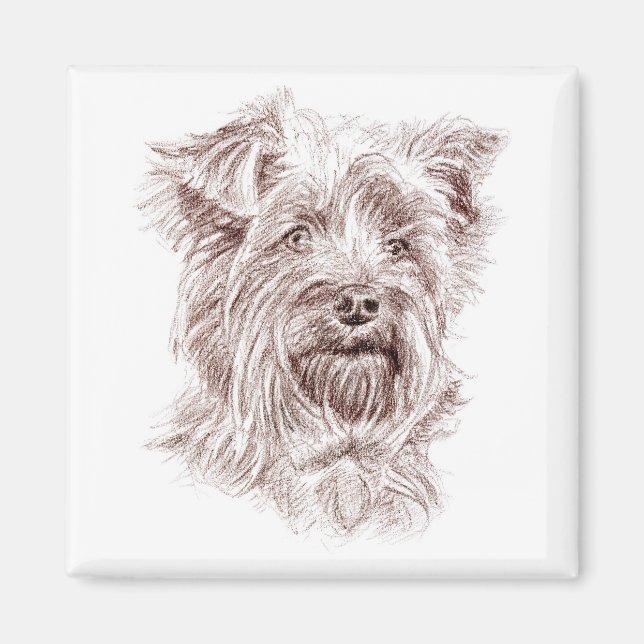 Yorkshire Terrier Teckning Magnet (Framsidan)