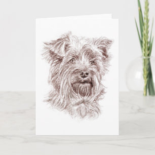 Yorkshire Terrier Teckning Tack Kort
