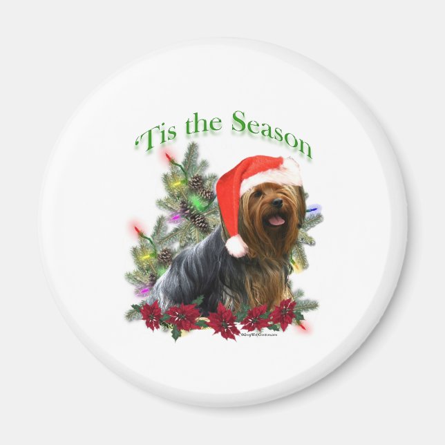Yorkshire Terrier "Tis Magnet (Framsidan)