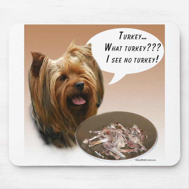 Yorkshire Terrier Turkiet Musmatta (Framsidan)