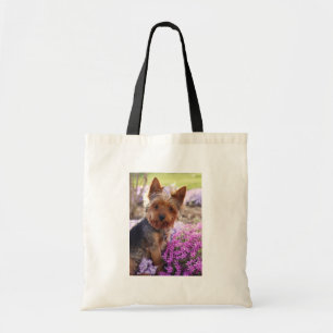 Yorkshire Terrier Tygkasse