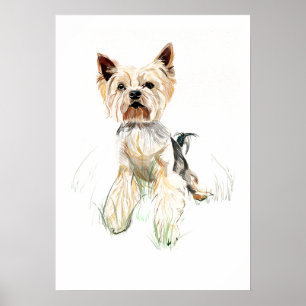 Yorkshire Terrier Väggkonst Affisch – Akvarell