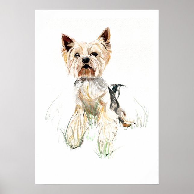 Yorkshire Terrier Väggkonst Affisch – Akvarell (Framsidan)