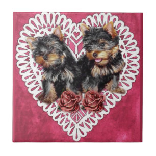 Yorkshire Terrier Valentiness Kakelplatta