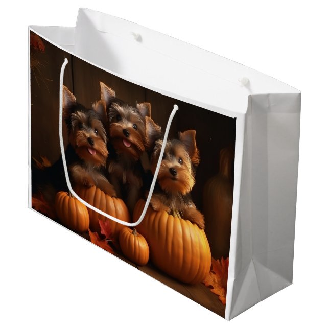 Yorkshire Terrier Valp Autumn Delight Pumpkin  (Framsidan Vinklad)