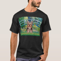 Yorkshire Terrier Valp - Bro