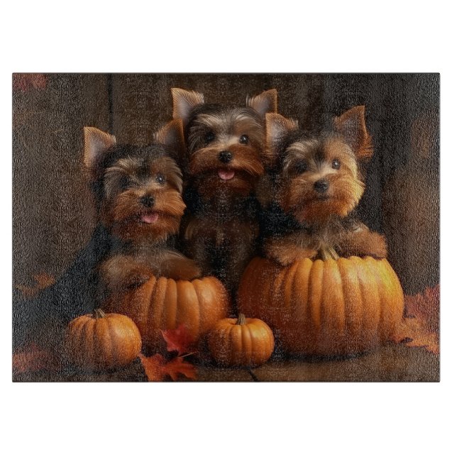 Yorkshire Terrier Valp Höstglädje Pumpa  (Framsidan)