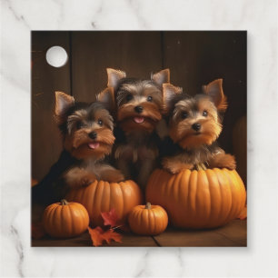 Yorkshire Terrier Valp Höstglädje Pumpa Gåvor Etiketter