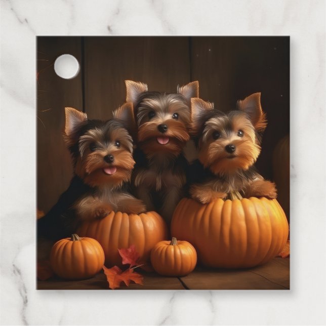 Yorkshire Terrier Valp Höstglädje Pumpa Gåvor Etiketter (Framsida)