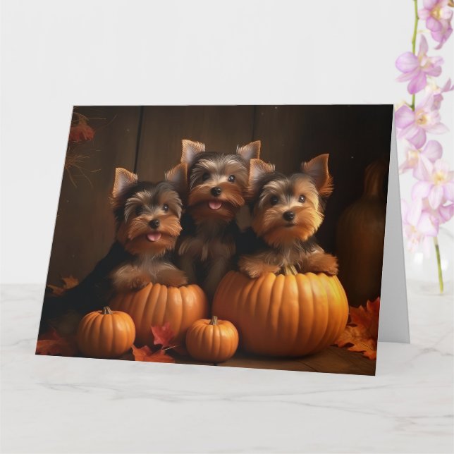 Yorkshire Terrier Valp Höstglädje Pumpa  Kort (Orkide)