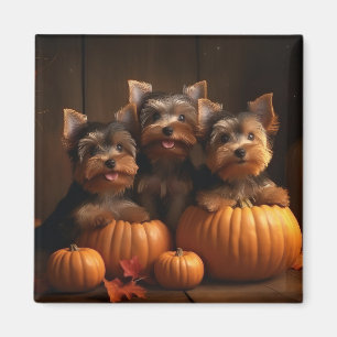 Yorkshire Terrier Valp Höstglädje Pumpa Magnet