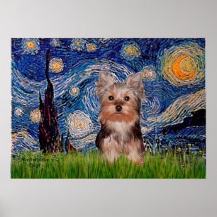 Yorkshire Terrier Valp - Stjärnkväll Poster