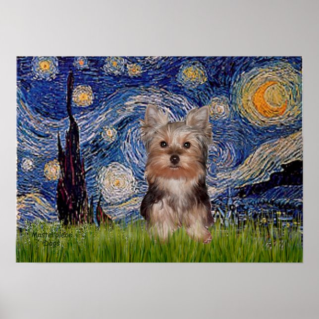 Yorkshire Terrier Valp - Stjärnkväll Poster (Framsidan)