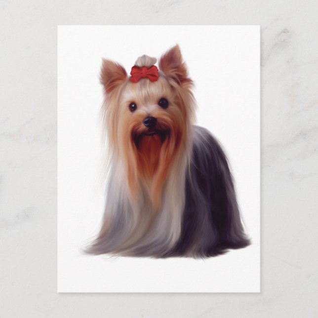 Yorkshire Terrier Vykort (Framsida)