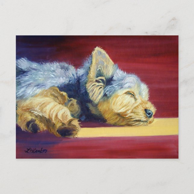 Yorkshire Terrier Vykort (Framsida)