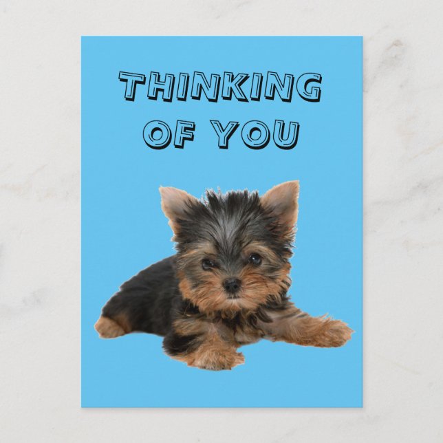 YORKSHIRE TERRIER VYKORT (Framsida)
