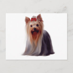 Yorkshire Terrier Vykort