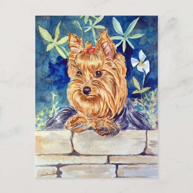 Yorkshire Terrier Vykort (Framsida)