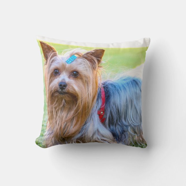 Yorkshire Terrier Yorkie Favorite Breed Kudde (Framsida)