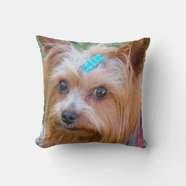 Yorkshire Terrier Yorkie Favorite Breed Kudde (Framsida)