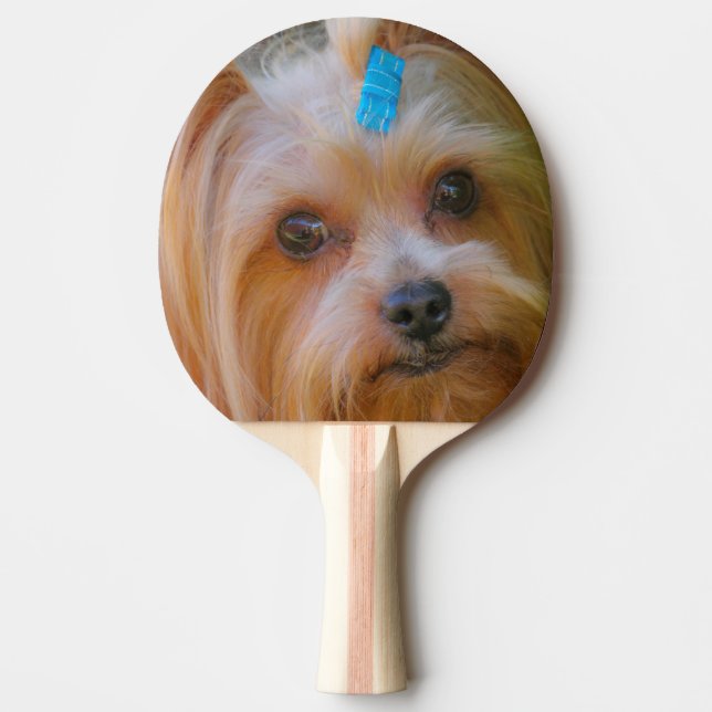 Yorkshire Terrier Yorkie Favorite Breed Pingisracket (Framsidan)