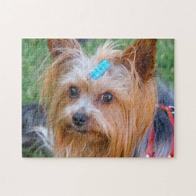 Yorkshire Terrier Yorkie Favorite Breed Pussel (Horisontell)