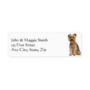 Yorkshire Terrier Yorkie Hund Pet Animal Returadress Etikett