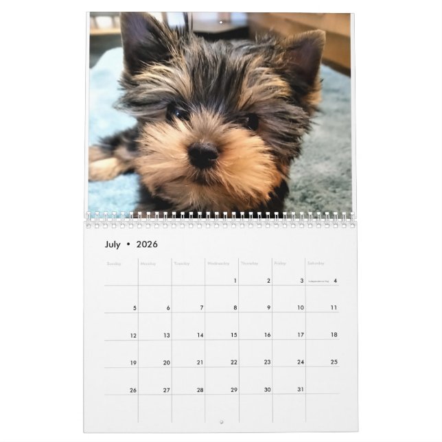 Yorkshire Terrier Yorkies 2022 Calendar Kalender (Jul 2026)