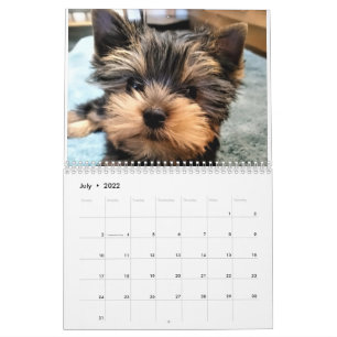 Yorkshire Terrier Yorkies 2022 Calendar Kalender